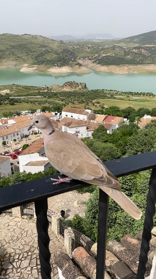 Вілла El Oasis Альгодоналес Екстер'єр фото